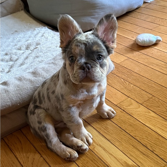 Meet your Posher, Lorraine - Picture 8 of 10